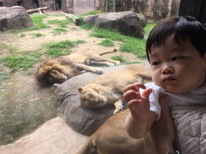 天王寺動物園